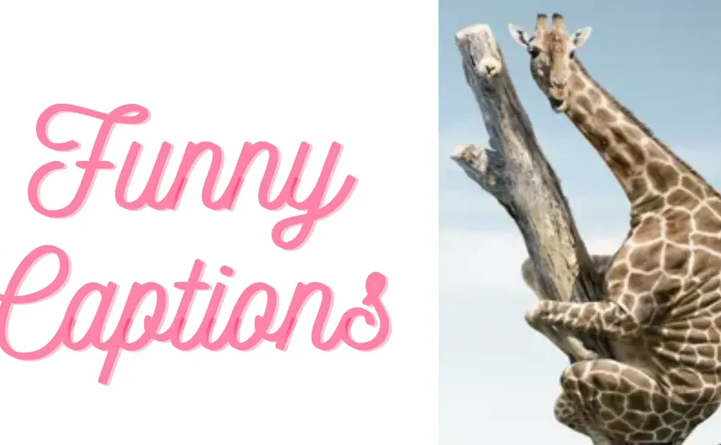 Funny captions featuring a giraffe climbing a tree