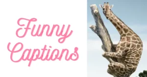 Funny captions featuring a giraffe climbing a tree