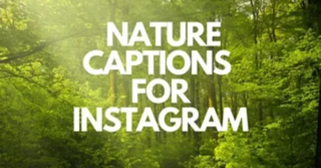 Nature captions for Instagram text over green forest trees with sunlight