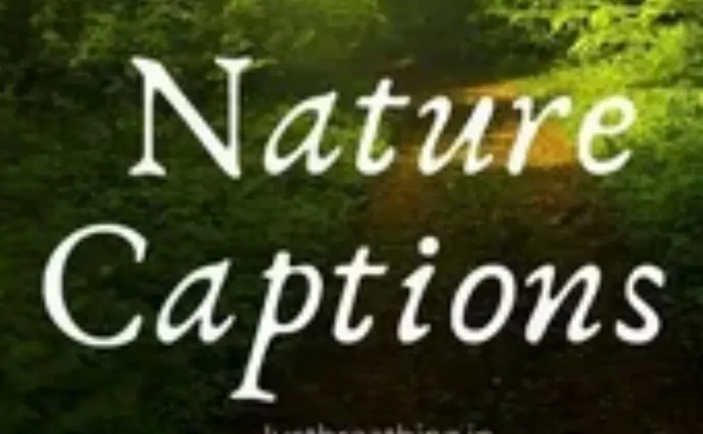 Nature captions text on a green forest path with sunlight