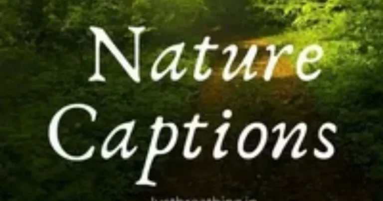 Nature captions text on a green forest path with sunlight